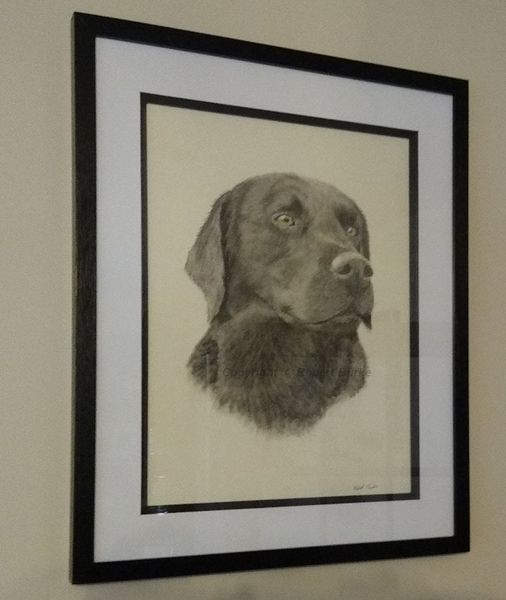 Robert Burke - Portraits & Art - Golden Retriever Pet portrait - Acrylic on Canvas