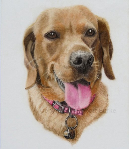 Robert Burke - Portraits & Art - New round gallery panorama